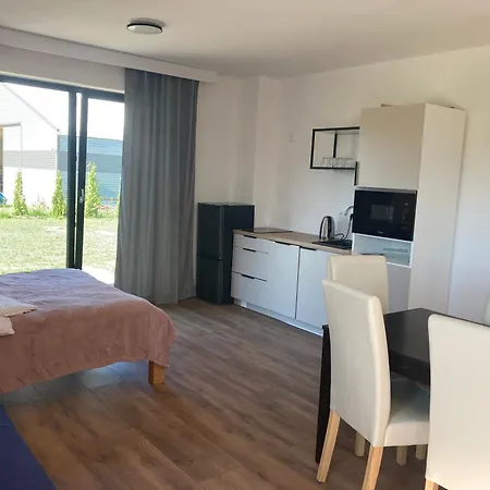 Apartment Mikolajski Sen